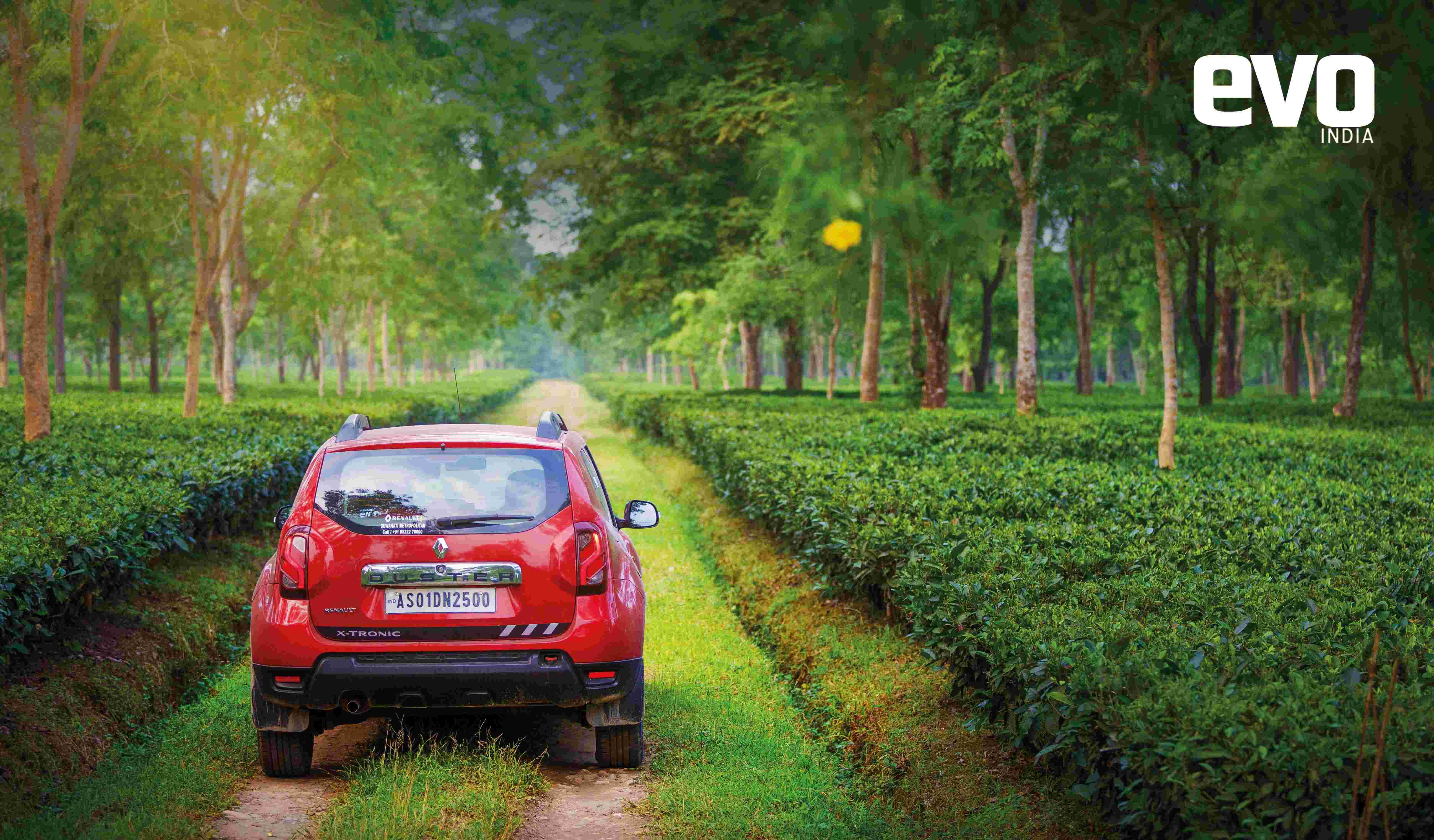 Getting high with the Renault Duster: To the north eastern tea estates